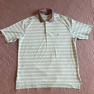 Southern Marsh Mint Green Striped Polo with Brown Collar